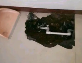 宜宾市卫生间测漏水多少钱